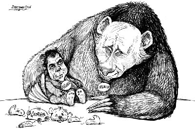 AllNew: 'Медвежьи разборки' – война в Осетии превратилась на Западе в войну карикатур